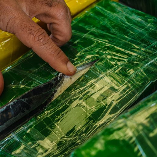 VÍDEO: Com apreensão da PRF, prejuízo ao tráfico passa de R$ 1 milhão