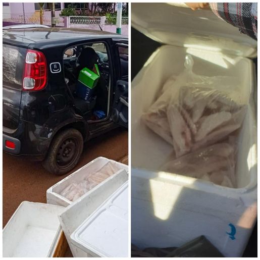 Vendedores são abordados vendendo peixes estragados em Iporã do Oeste