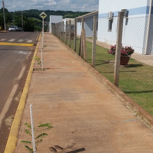 Tunápolis dá continuidade ao plano de arborização com plantio de árvores na cidade