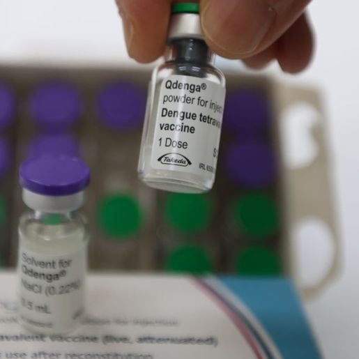 Seis meses após chegada das doses, vacinação contra dengue cobre 29% do público-alvo em SC