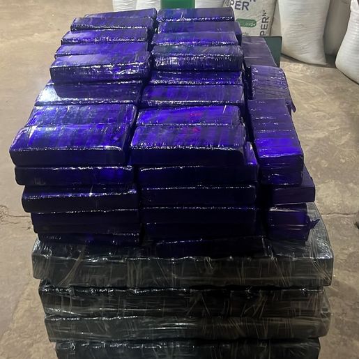 PRF, PM e PMRv apreendem 311 kg de maconha em Concórdia