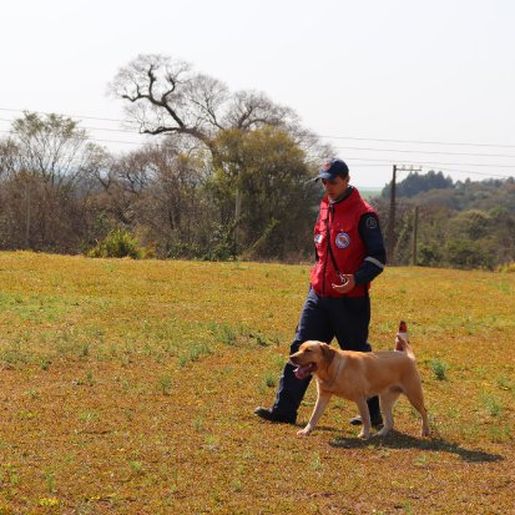 Corpo de Bombeiros Militar tem mais um cão certificado para buscas no Oeste