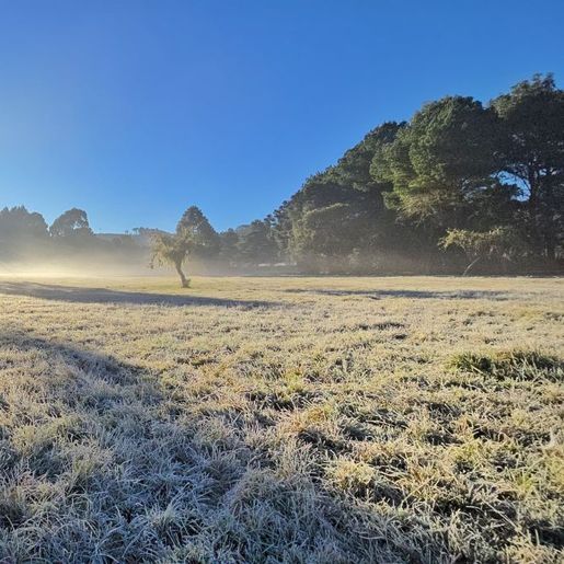 Neve e chuva congelada devem marcar final da semana após dias de calor em SC