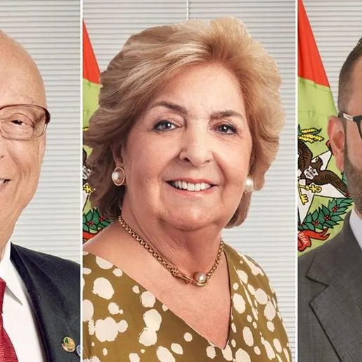 SC pode ter apenas um dos três senadores atuais na disputa da eleição deste ano