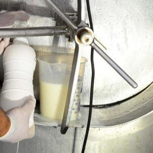 Procon notifica três indústrias em SC por aumento no preço do leite