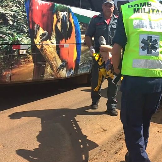 Mulher fica ferida em acidente na BR 163