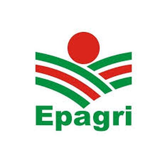Governo autoriza contratação de 161 candidatos aprovados em concurso da Epagri