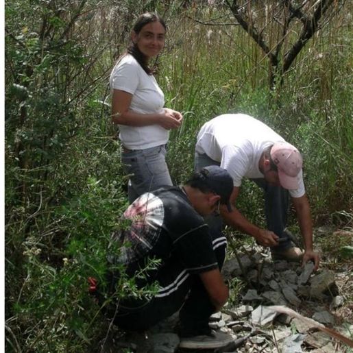 Fóssil de escorpião que viveu antes dos dinossauros é encontrado em Canoinhas