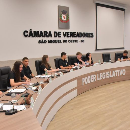 Câmara Mirim de SMO aprova pedidos para iluminação e inclusão sensorial