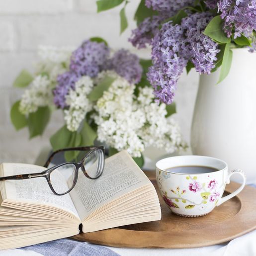 Associação dos Escritores participa de Festival Literário de São Miguel do Oeste