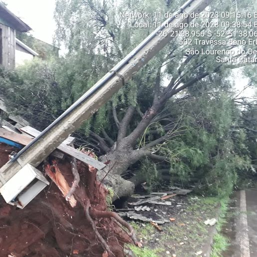 Temporais causam prejuízos em municípios da região