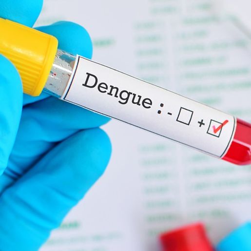 Guarujá do Sul registra o 1º caso de Dengue