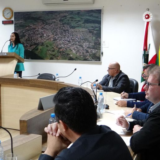 Câmara de Vereadores realiza audiência publica em São José do Cedro