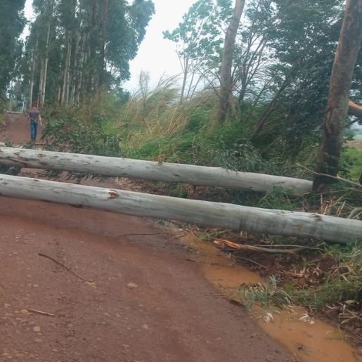 Falta de energia elétrica causa desabastecimento de água em Palma Sola