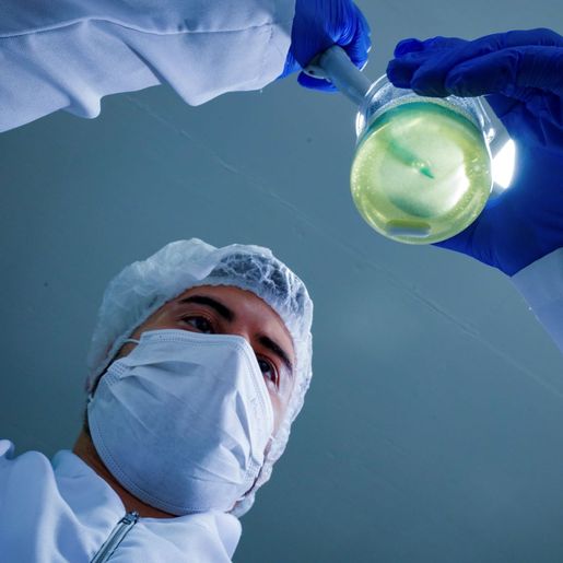 Profissionais com ensino superior têm taxa de desocupação de apenas 1,2% em Santa Catarina