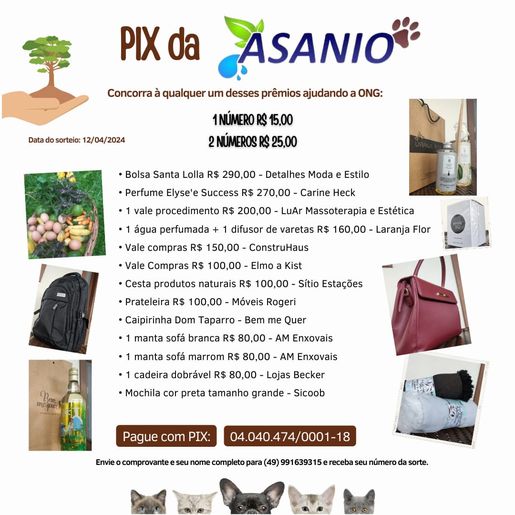 ONG ASANIO de Iporã do Oeste promove Pix da Sorte