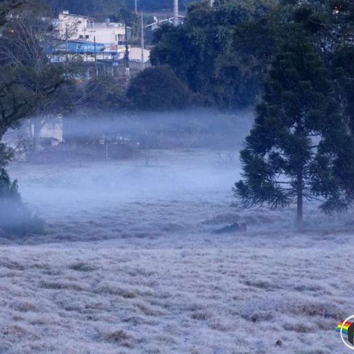 Epagri orienta agricultores sobre onda de frio intenso na região