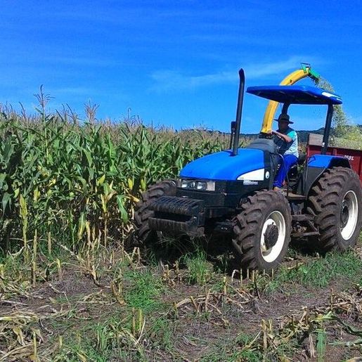 Quase R$ 2 milhões devem ser aplicados no Boa Agricultura Cedrense