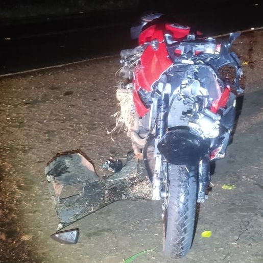 Motociclista fica gravemente ferido após atropelar boi na SC-161