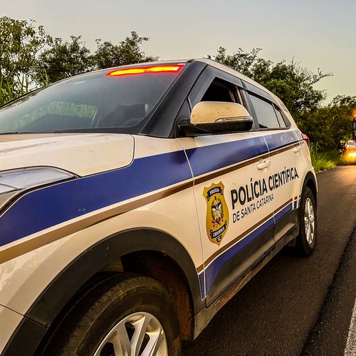 Homem morre após ser atingido por rodado de caminhão na BR-282; vídeo