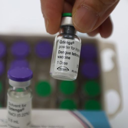 Com mais de 354 mil casos prováveis de dengue, vacinação está longe da meta em SC