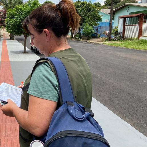 São Miguel do Oeste se aproxima de epidemia de dengue com 100 casos confirmados