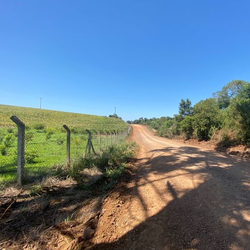 Estradas rurais de SMO têm 90% da malha em estado bom ou ótimo, diz secretário