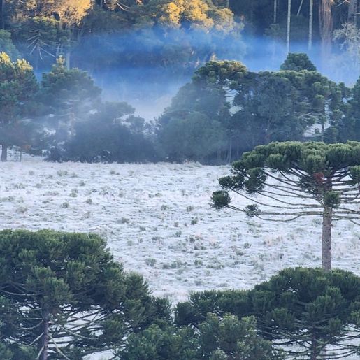 Junho deve ser menos chuvoso e com temperaturas acima da média em SC