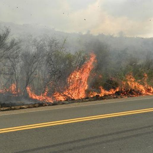 Bombeiros registram aumento de incêndios às margens das rodovias