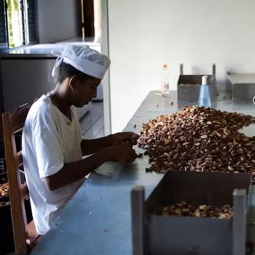 Senado vota garantia de INSS e piso salarial para trabalhadores de cooperativas