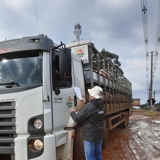 Cidasc reforça segurança sanitária com fiscalização em Descanso e SMOeste