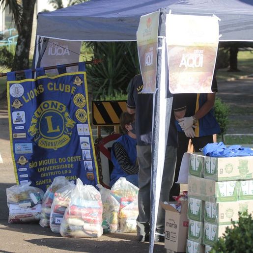 Lions e Leo Clube arrecadaram mais de seis toneladas de alimentos