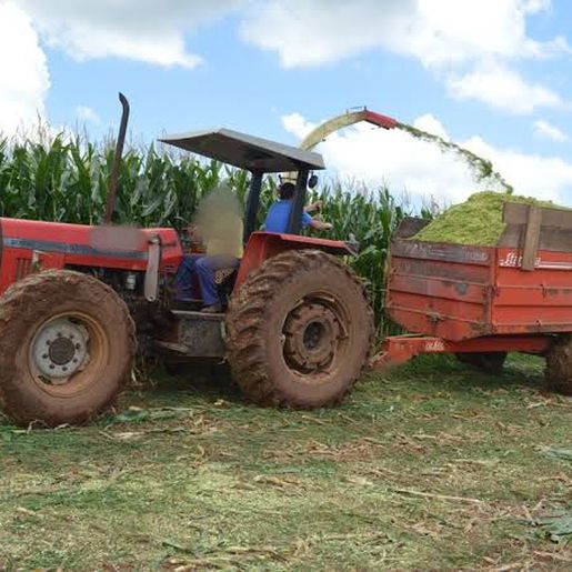 Jovem tem couro cabeludo arrancado em Belmonte