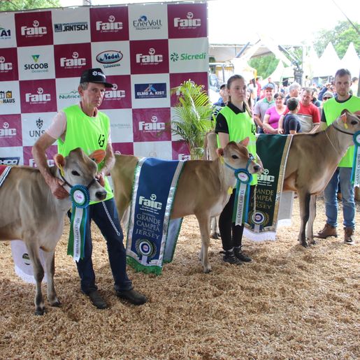 Julgamento de bovinos marca penúltimo dia da 10ª FAIC, em Iporã do Oeste