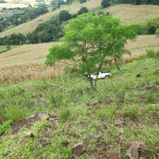 Saída de pista seguida de capotamento deixa feridos na SC-305