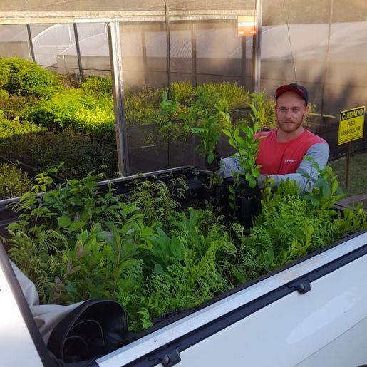 Lions Clube Iporã realiza mais uma etapa do Projeto 10 mil Árvores