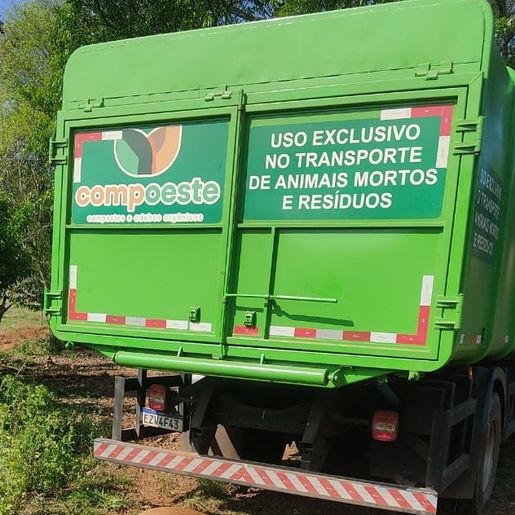 Empresa inicia recolha de carcaças bovinas em Mondaí