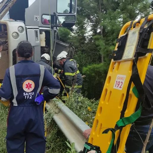 Caminhão carregado com 18 bois capota e animais caem em ribanceira em SC
