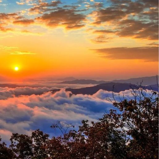 “Friozinho” de 5°C volta a dar as caras em pleno verão após sequência de dias quentes em SC