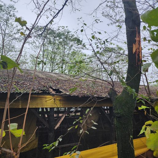 Raio causa incêndio em granja de suínos no interior de Itapiranga