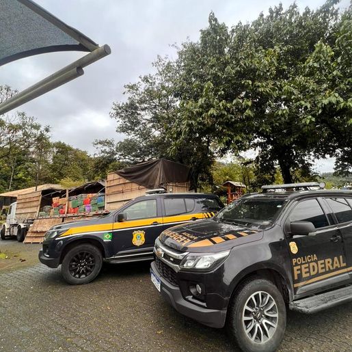 Ação conjunta PRF e PF faz a maior apreensão de maconha do ano em SC