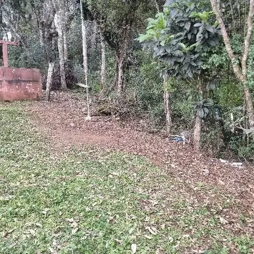 Feto humano é encontrado por crianças no meio-oeste de SC