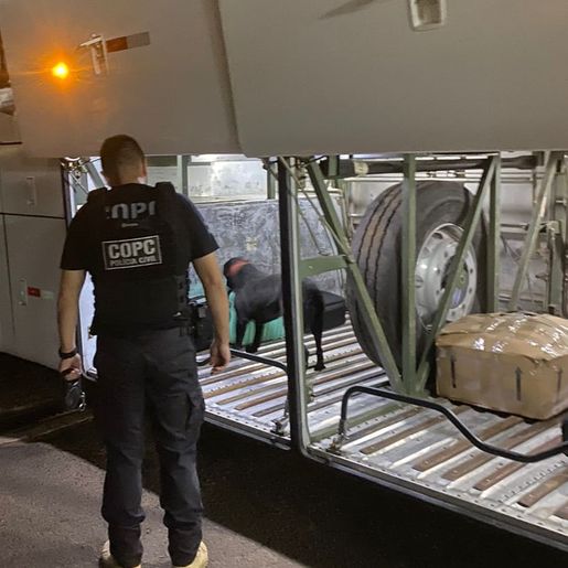 Passageiros são presos com 60 kg de maconha na rodoviária de Maravilha