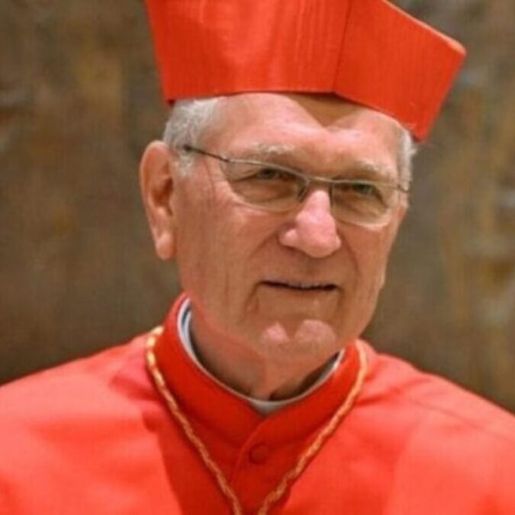 Cardeal catarinense fala sobre chances de suceder papa Francisco: “devo ser convocado”