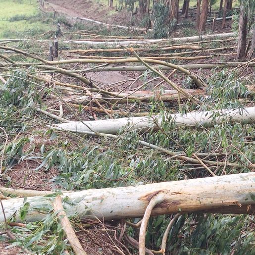 Temporal causa mais de 200 destelhamentos e deixa 6 famílias desalojadas em São Miguel do Oeste