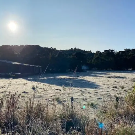Semana começa fria e ensolarada em SC