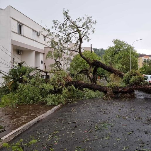 Temporal deixa rastro de destruição em Iraí; confira fotos