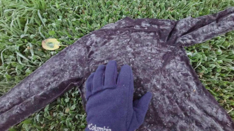 Quatro cidades da Serra registram frio abaixo de 0°C em SC