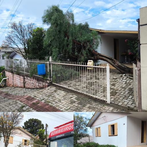 Árvore de grande porte cai sobre casa e carro após chuvas em São Lourenço do Oeste