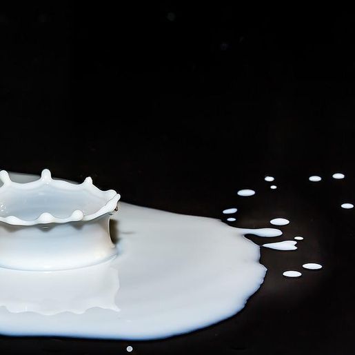 Produtor aponta atraso na divulgação da tabela de preços do leite